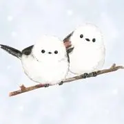 すもも@断捨離中の画像