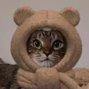 ちいの画像