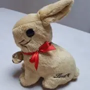 シナモンの画像