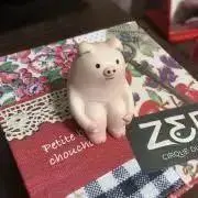 こむの画像