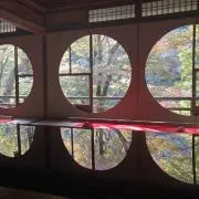 KOUの画像