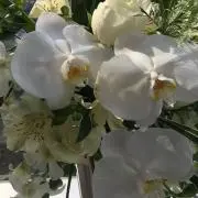 merの画像
