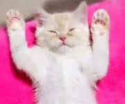 TUBE40周年アニバーサリー ファンクラブ ユニフォーム 新品未開封