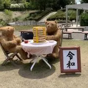 つむじの画像