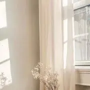 viviの画像