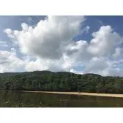 Juunoの画像