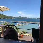 妃蓮
