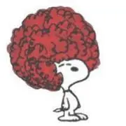 きこの画像