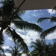 ハコワレの画像