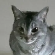 babaaの画像