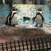 ゆーこ