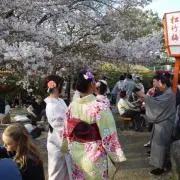 minoの画像