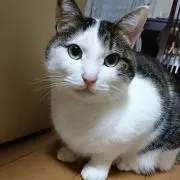 935panの画像