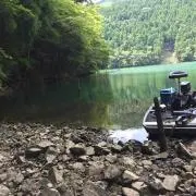 ロン