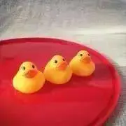 momomoの画像