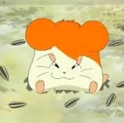 Image of ひな※4/12午前中まで