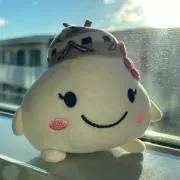 しろまるひめの画像