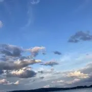 momoの画像