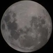 レン