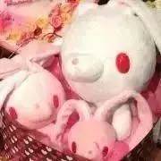 すぎゅ
