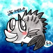 海大好きチヌ