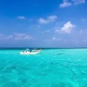 331の画像