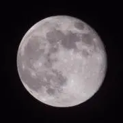 お月