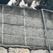 プロフ必見