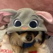 ⭐︎のん⭐︎の画像