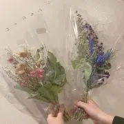 ゆいの画像