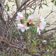 まっちぼー　プロフみてください！の画像