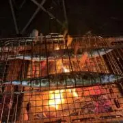 ぼんの画像