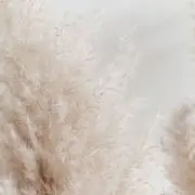 みなみの画像