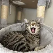かずまの画像