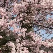 みっちゃん☆