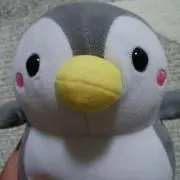 ペンペン(プロフ必読お願い致します)の画像