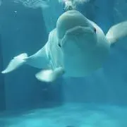 なおぽん汰の画像