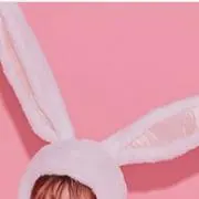 ぽむの画像