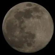 9の画像