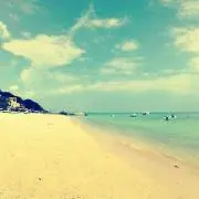 norikoの画像