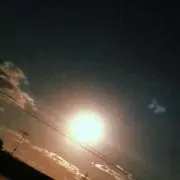 koの画像