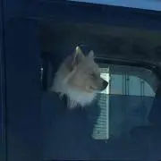 Maikyの画像