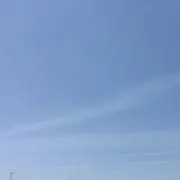 Yちゃんの画像