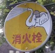 タッキーの画像