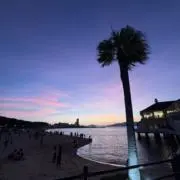 Jの画像
