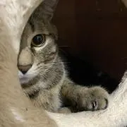 maroの画像