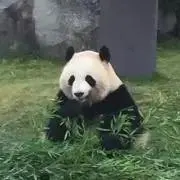 みかんの画像