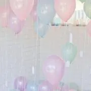 たまの画像