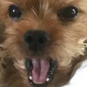 わたろうの画像