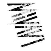 tetz.の画像